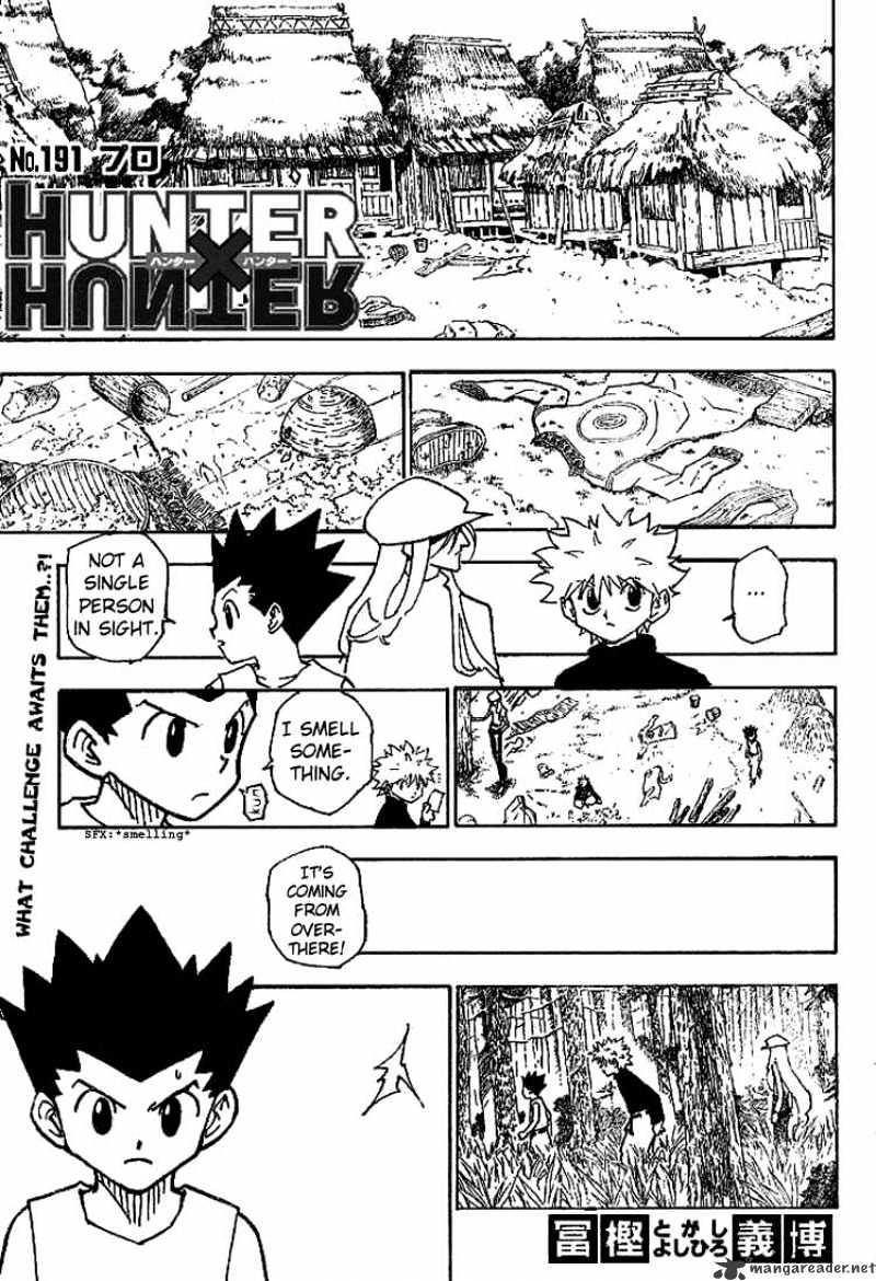 Read Hunter x Hunter EN Manga Online