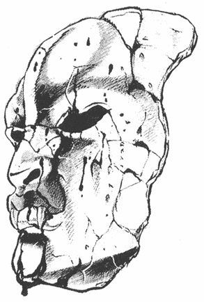 Read JoJo's Bizarre Adventure Part 6_ Stone Ocean EN Manga Online