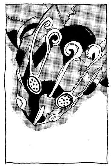 Read JoJo's Bizarre Adventure Part 6_ Stone Ocean EN Manga Online