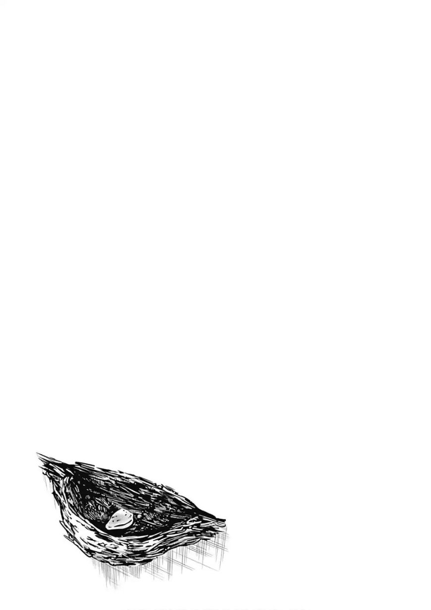 Read Kaguya-sama Love Is War EN Manga Online