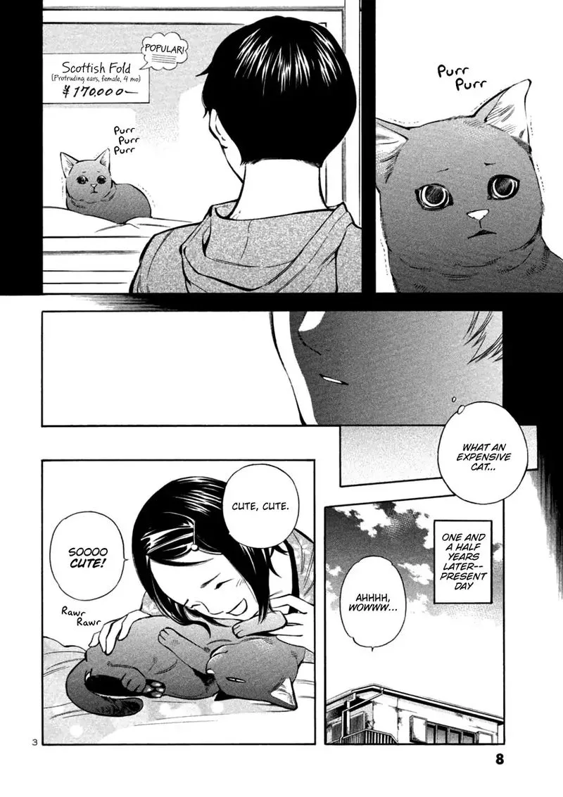 Read Kurosagi EN Manga Online