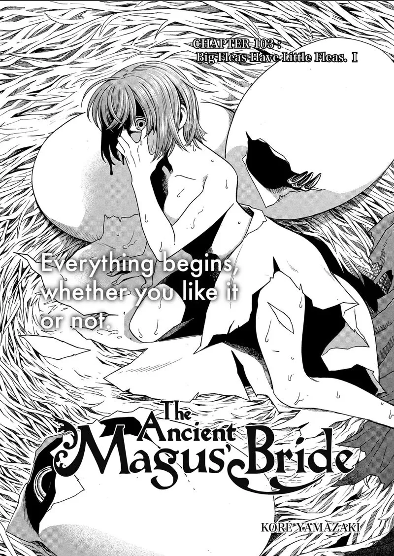 Read Mahou Tsukai No Yome EN Manga Online