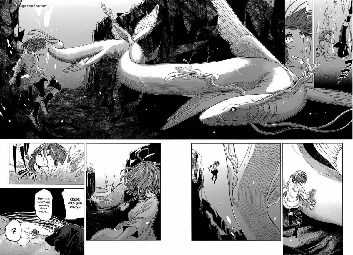 Read Mahou Tsukai No Yome EN Manga Online