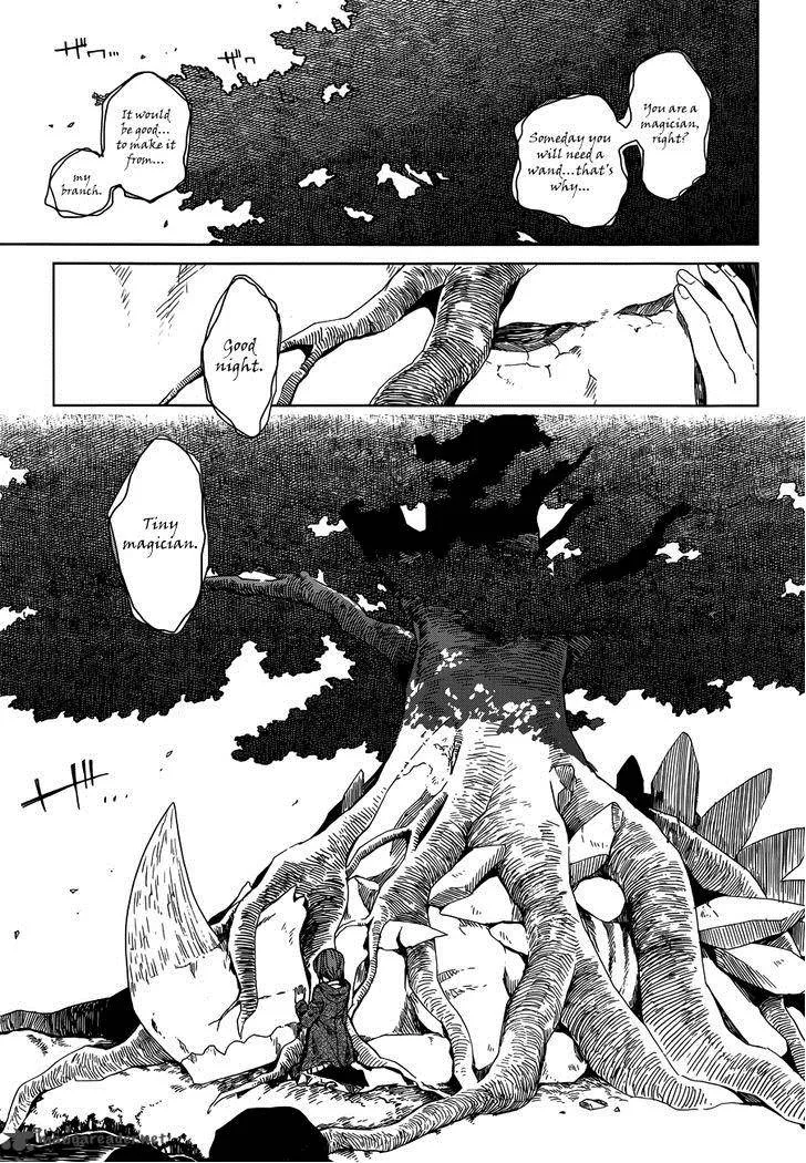 Read Mahou Tsukai No Yome EN Manga Online