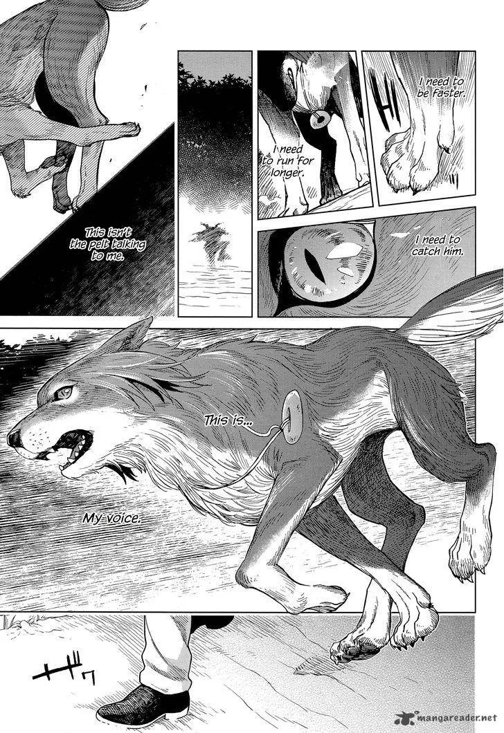 Read Mahou Tsukai No Yome EN Manga Online