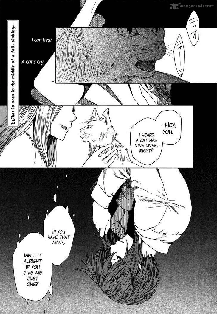 Read Mahou Tsukai No Yome EN Manga Online