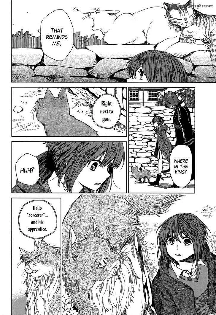 Read Mahou Tsukai No Yome EN Manga Online