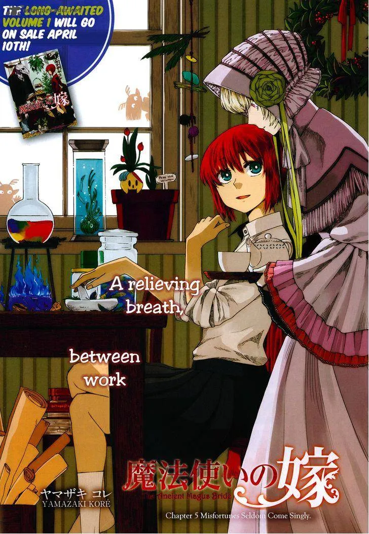 Read Mahou Tsukai No Yome EN Manga Online