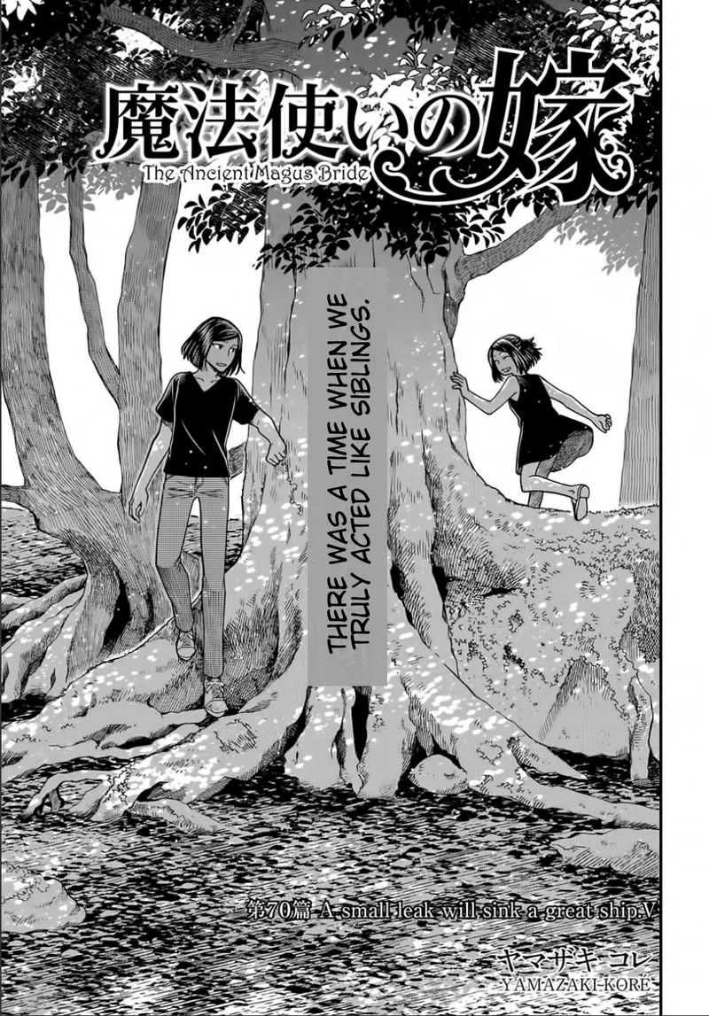 Read Mahou Tsukai No Yome EN Manga Online
