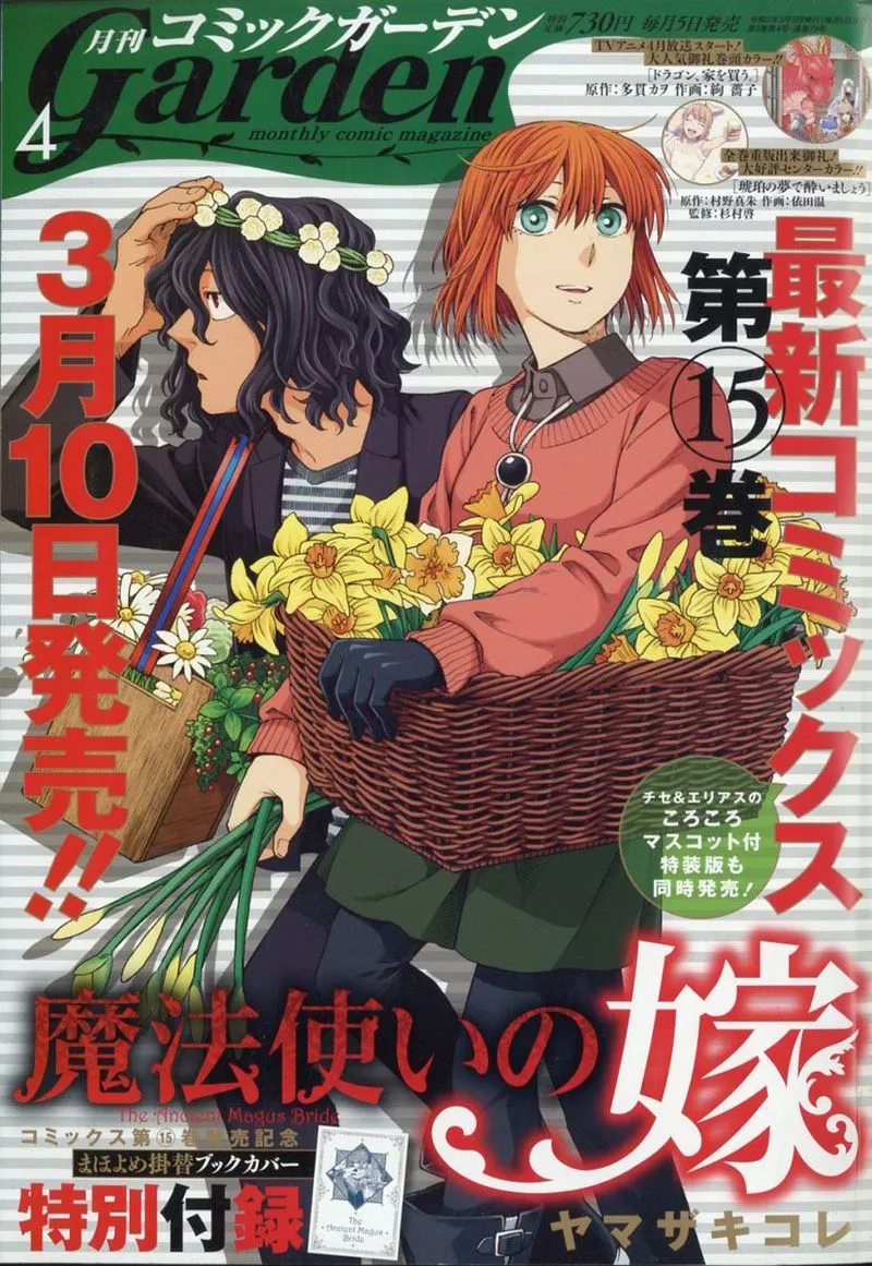 Read Mahou Tsukai No Yome EN Manga Online