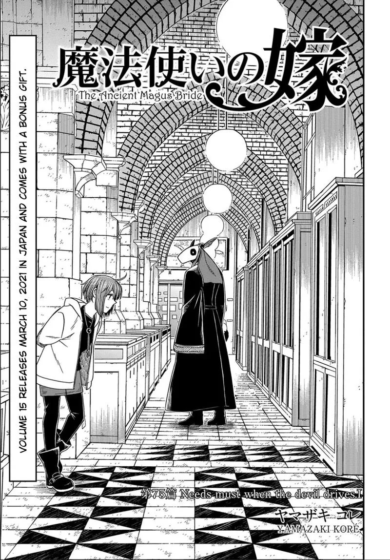 Read Mahou Tsukai No Yome EN Manga Online
