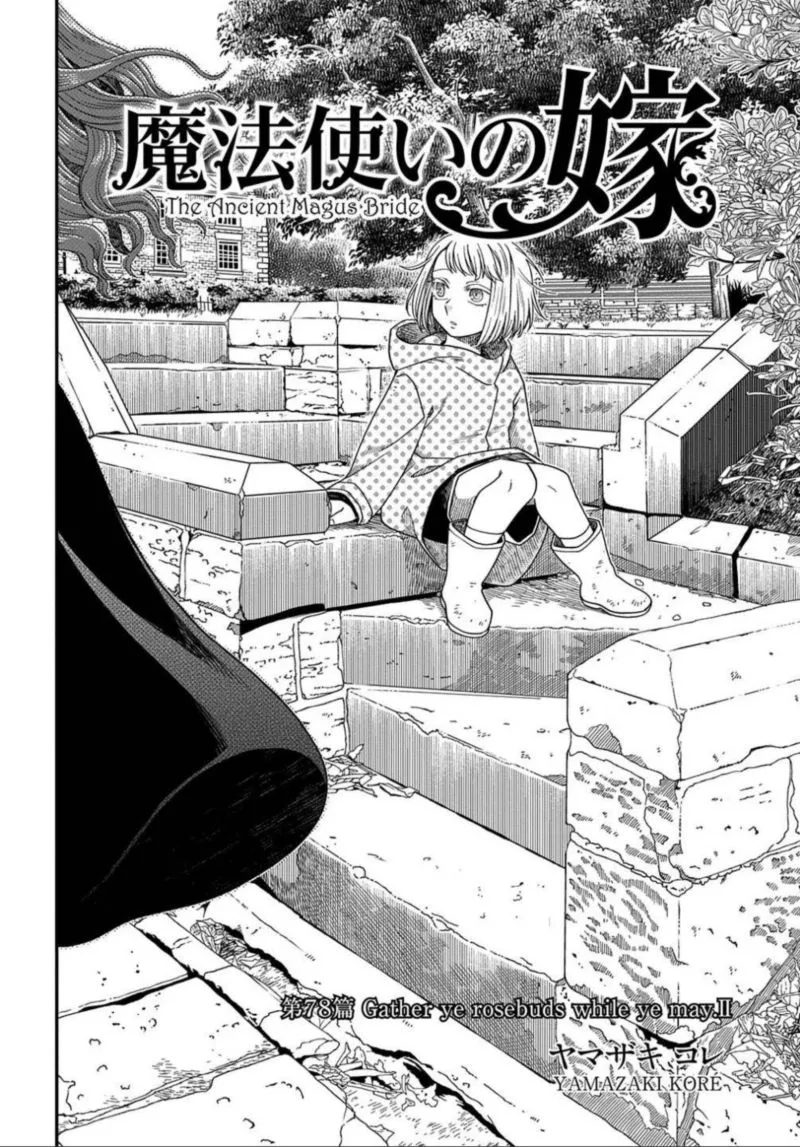 Read Mahou Tsukai No Yome EN Manga Online