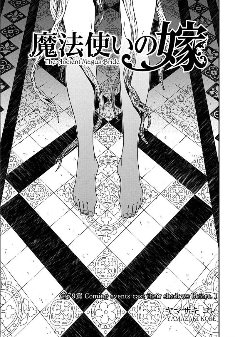 Read Mahou Tsukai No Yome EN Manga Online