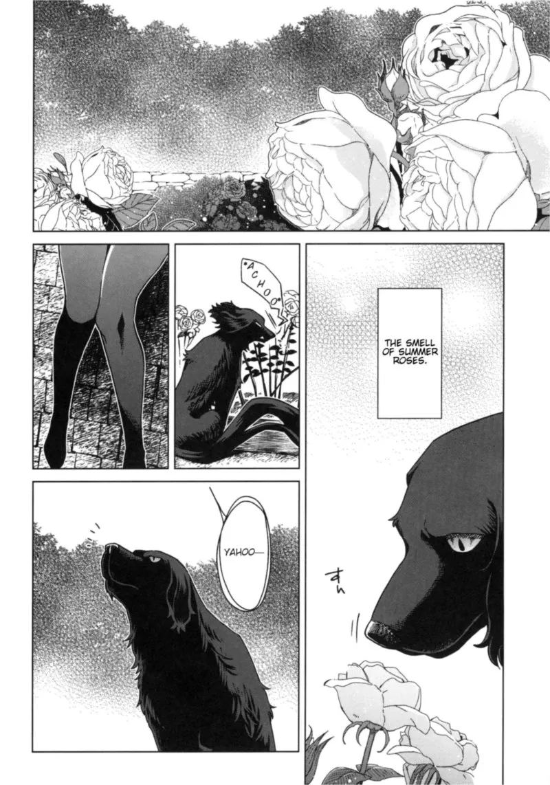 Read Mahou Tsukai No Yome EN Manga Online