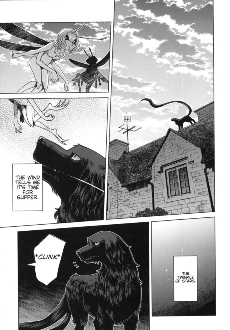 Read Mahou Tsukai No Yome EN Manga Online