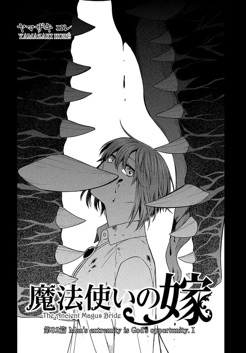 Read Mahou Tsukai No Yome EN Manga Online