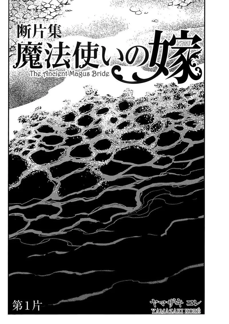 Read Mahou Tsukai No Yome EN Manga Online