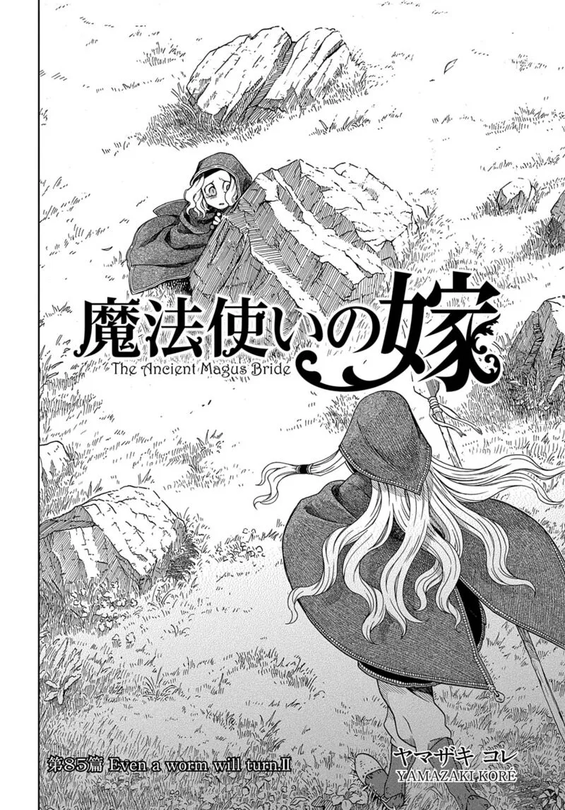 Read Mahou Tsukai No Yome EN Manga Online