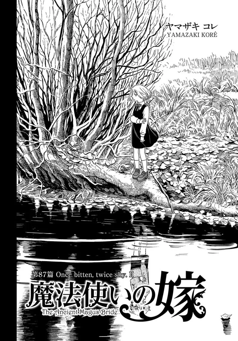Read Mahou Tsukai No Yome EN Manga Online