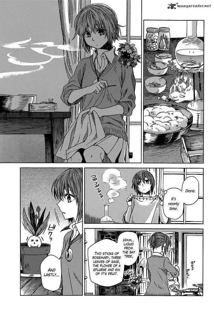 Read Mahou Tsukai No Yome EN Manga Online