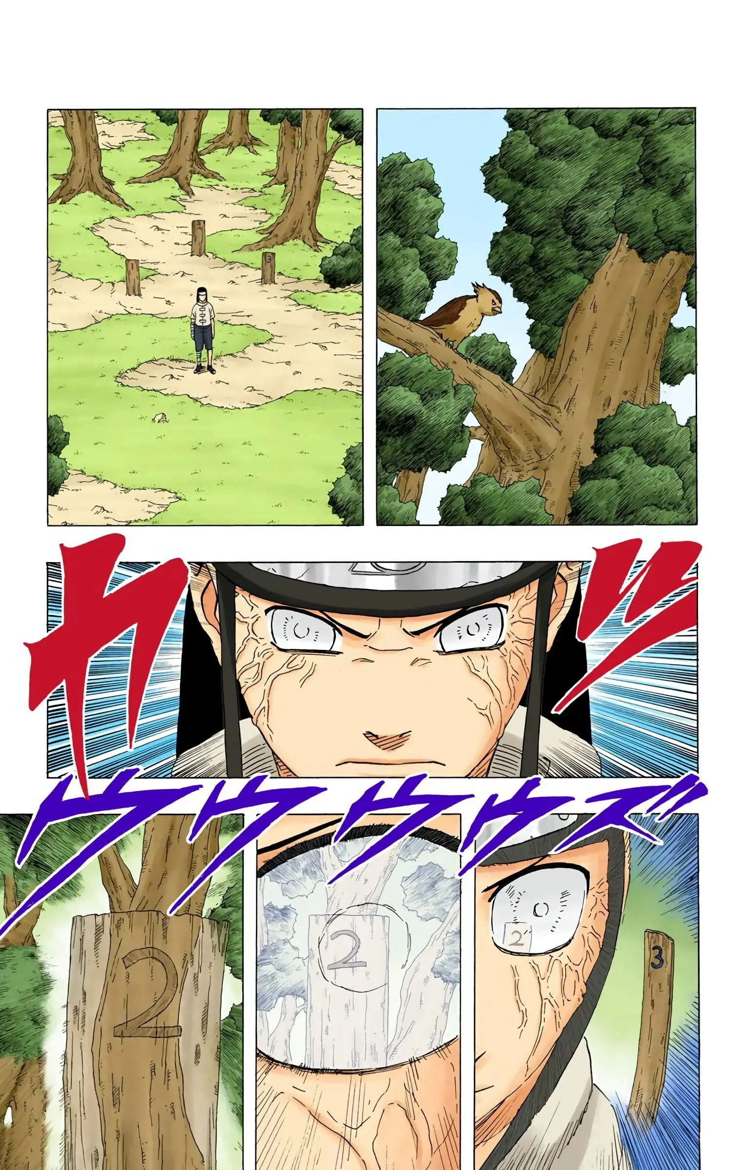 Read Naruto (Colored) EN Manga Online