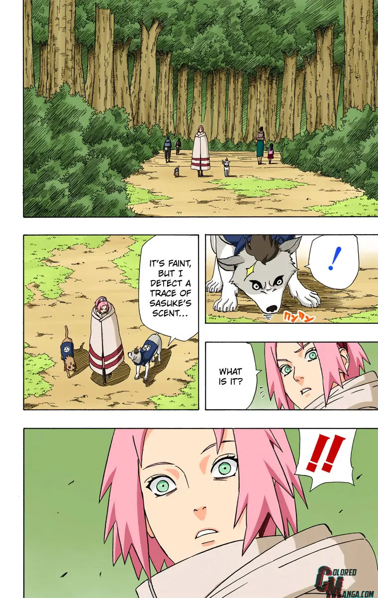 Read Naruto (Colored) EN Manga Online