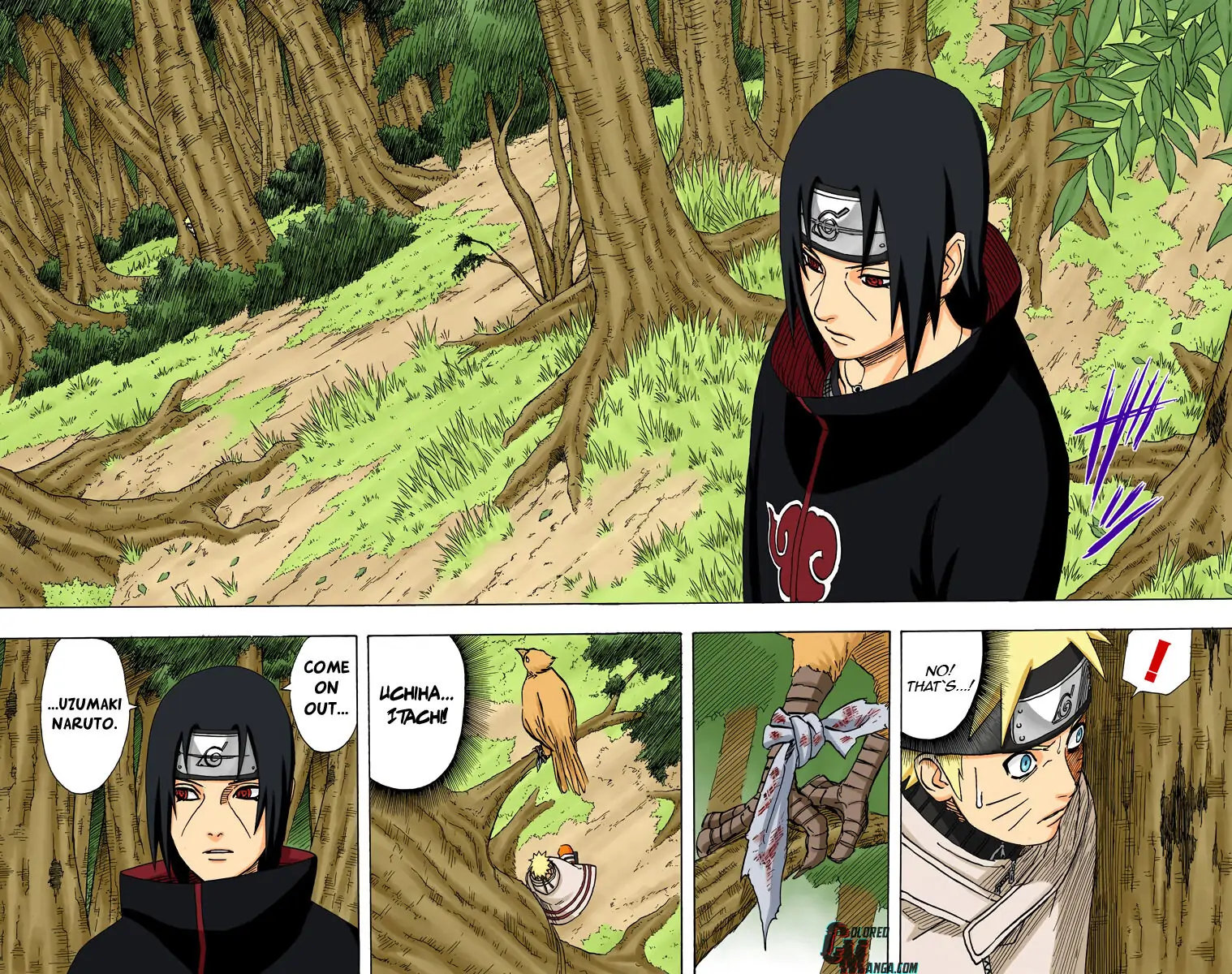 Read Naruto (Colored) EN Manga Online