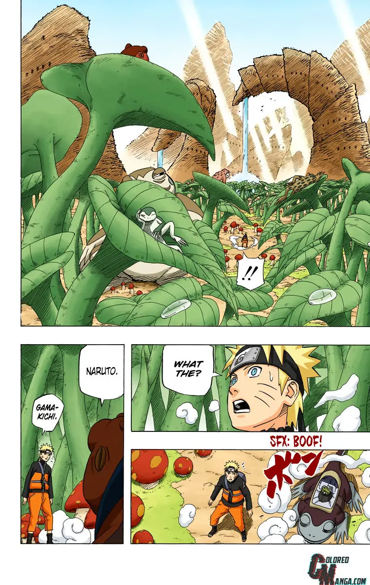 Read Naruto (Colored) EN Manga Online