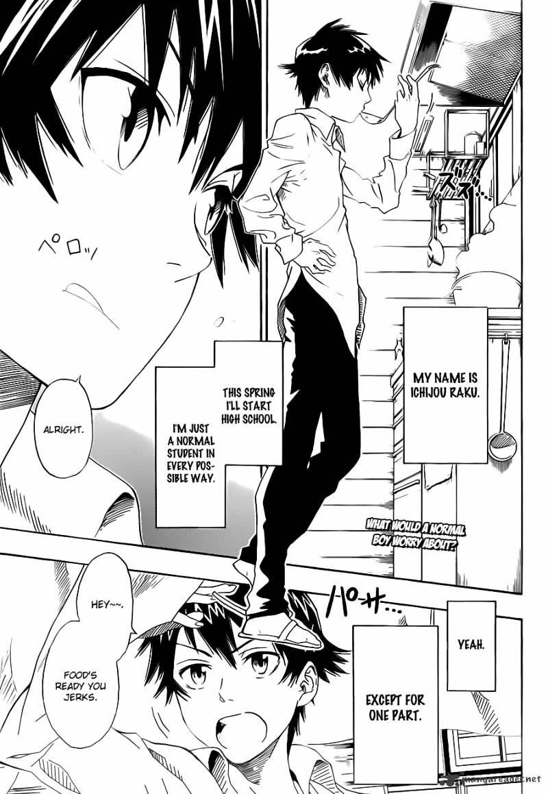 Read Nisekoi EN Manga Online