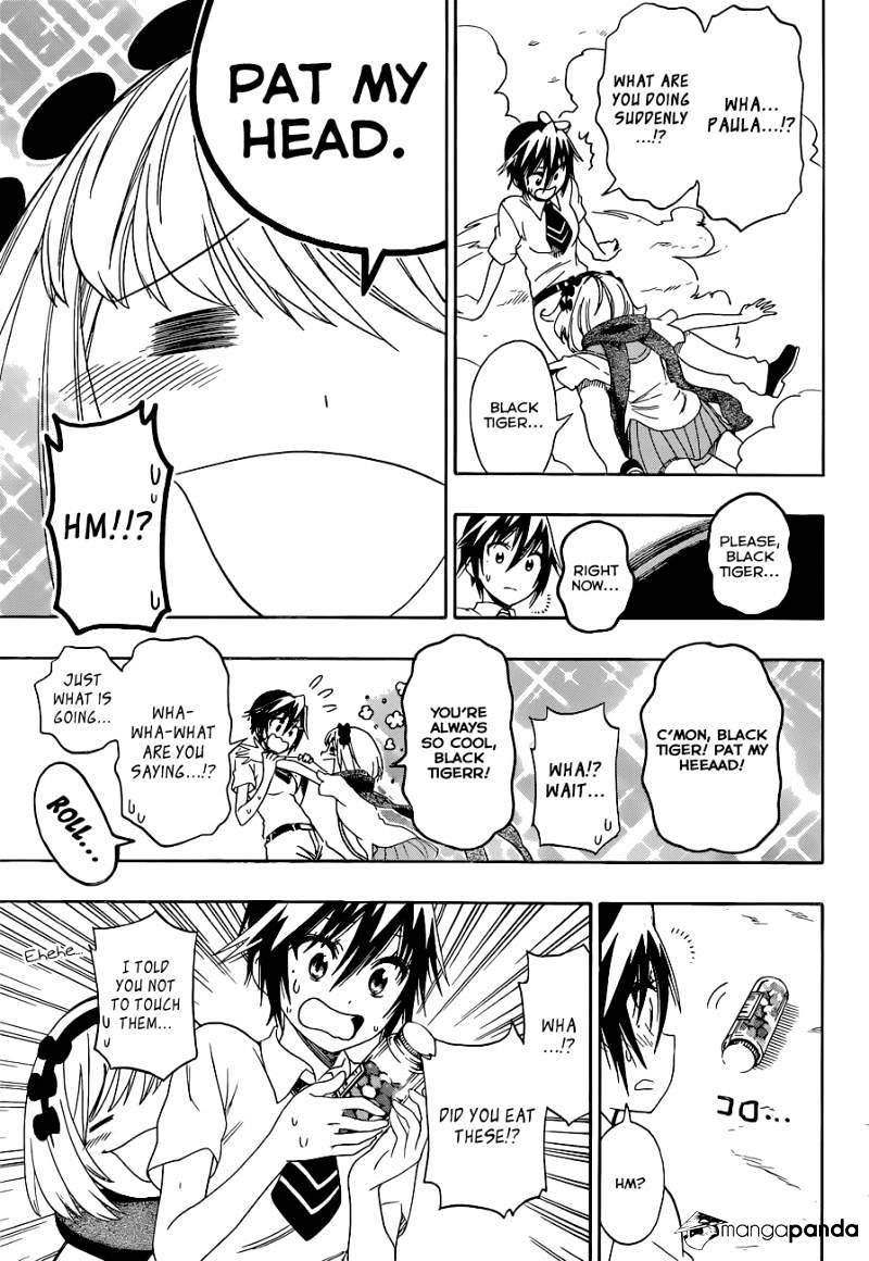 Read Nisekoi EN Manga Online