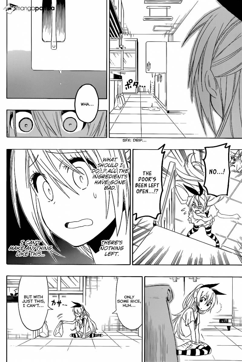 Read Nisekoi EN Manga Online