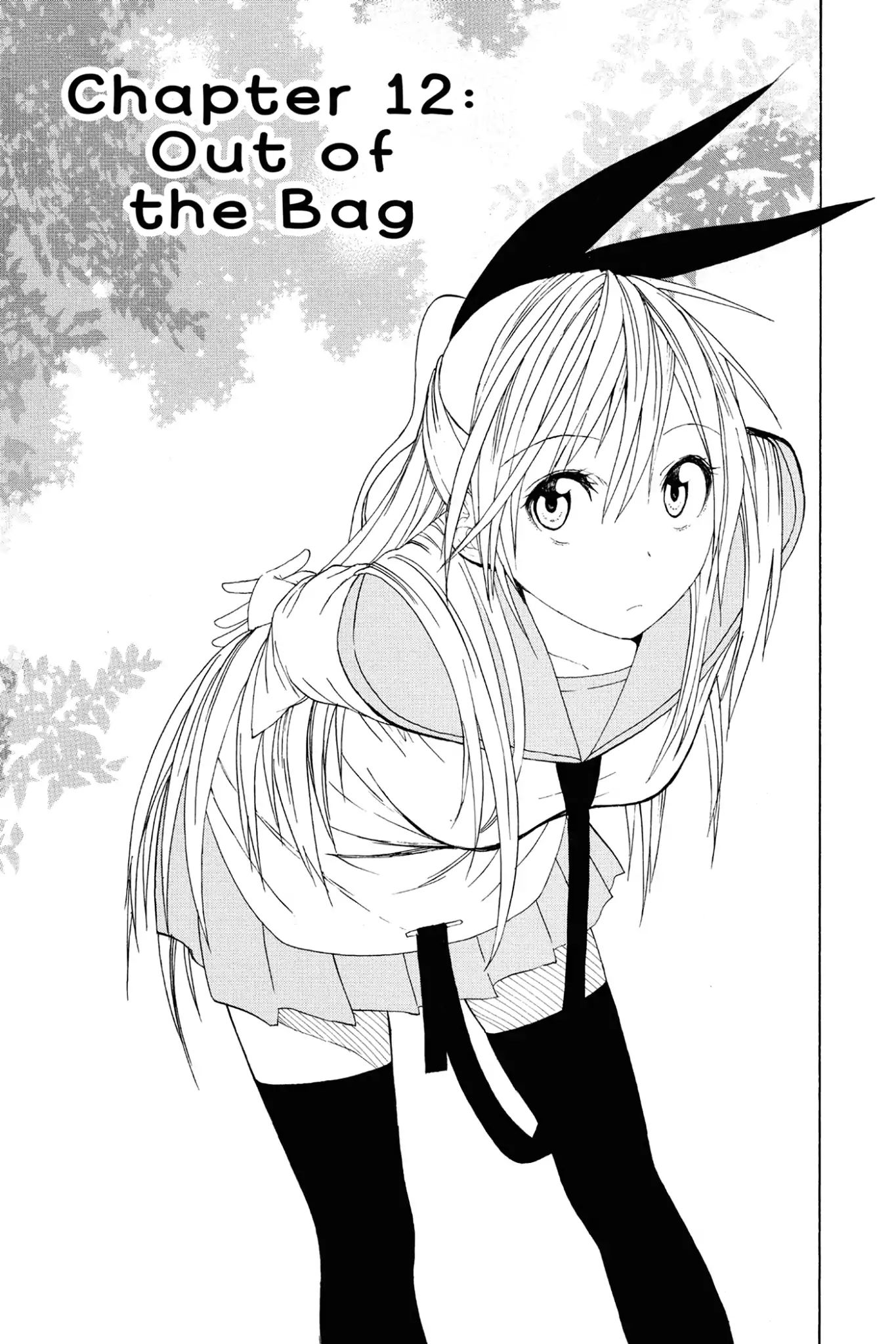 Read Nisekoi EN Manga Online