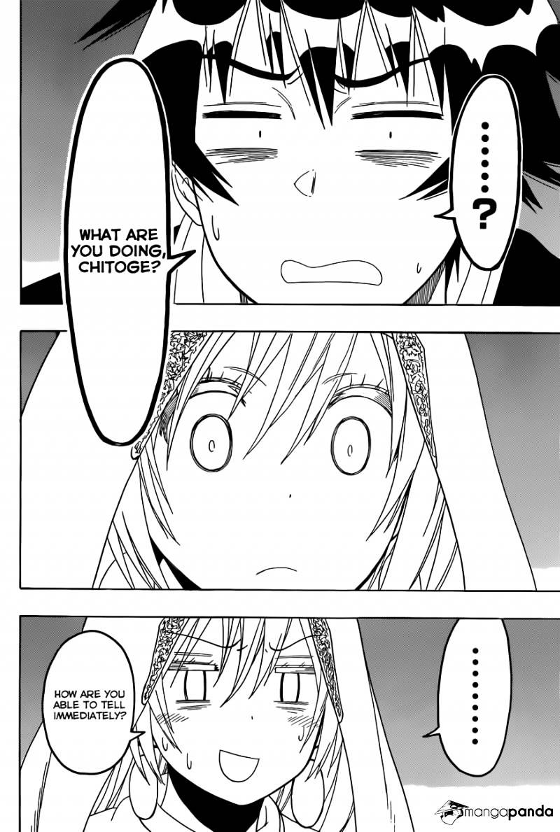 Read Nisekoi EN Manga Online