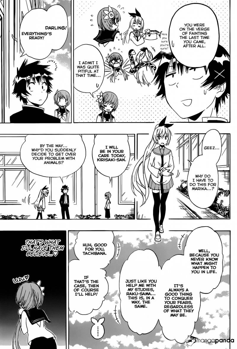Read Nisekoi EN Manga Online