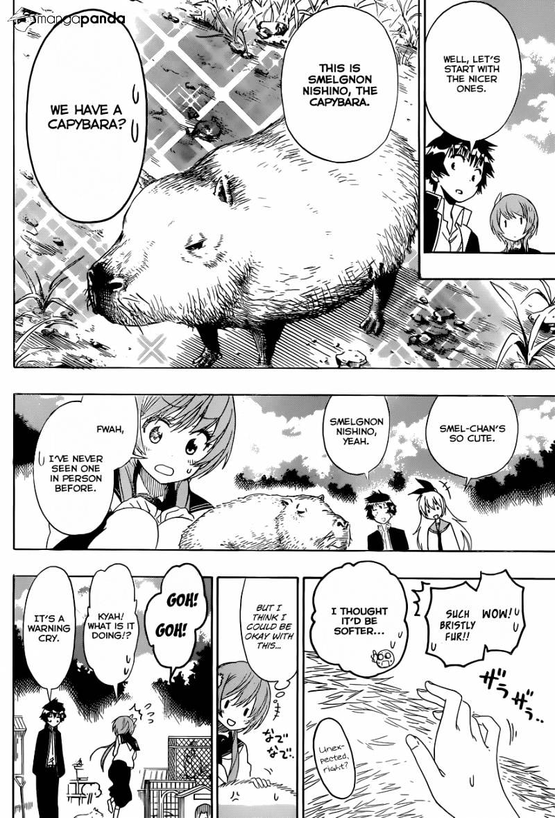 Read Nisekoi EN Manga Online