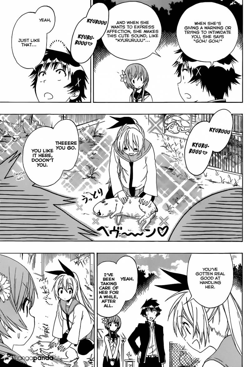 Read Nisekoi EN Manga Online