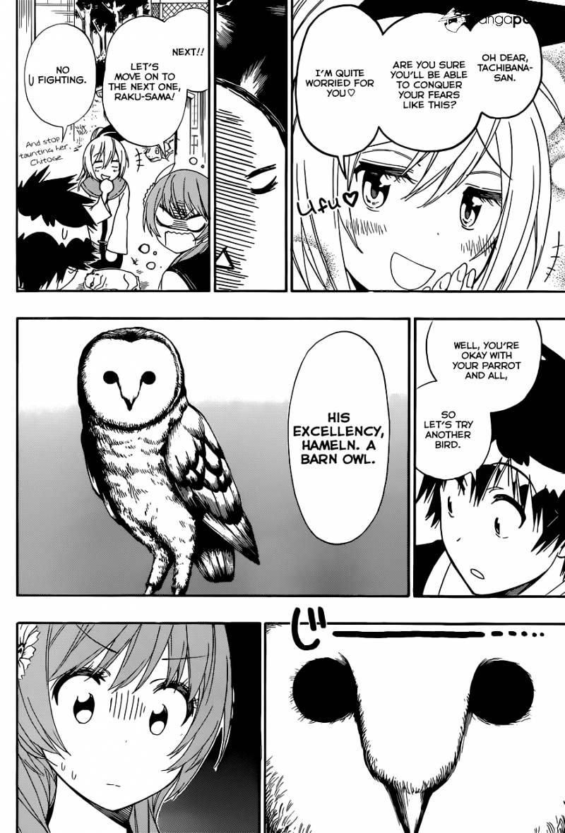Read Nisekoi EN Manga Online