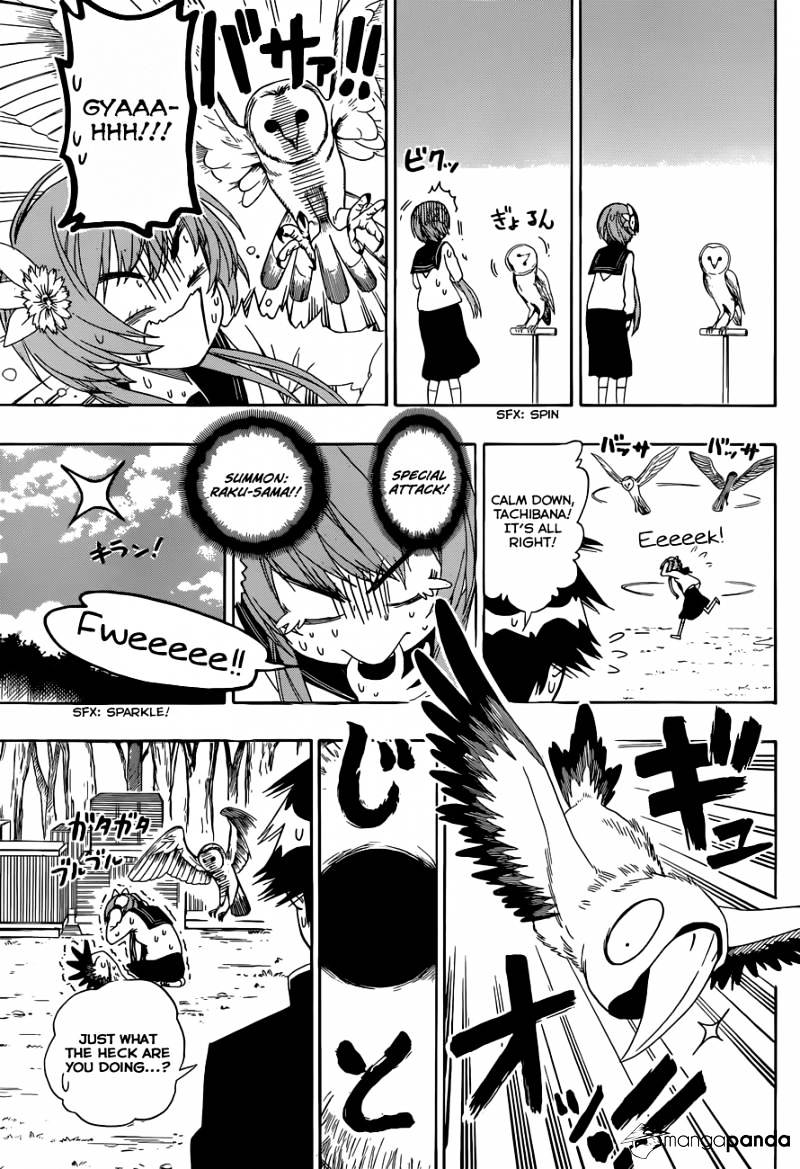 Read Nisekoi EN Manga Online