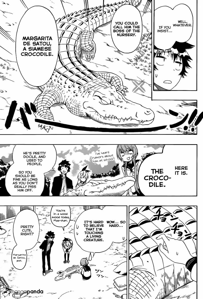 Read Nisekoi EN Manga Online
