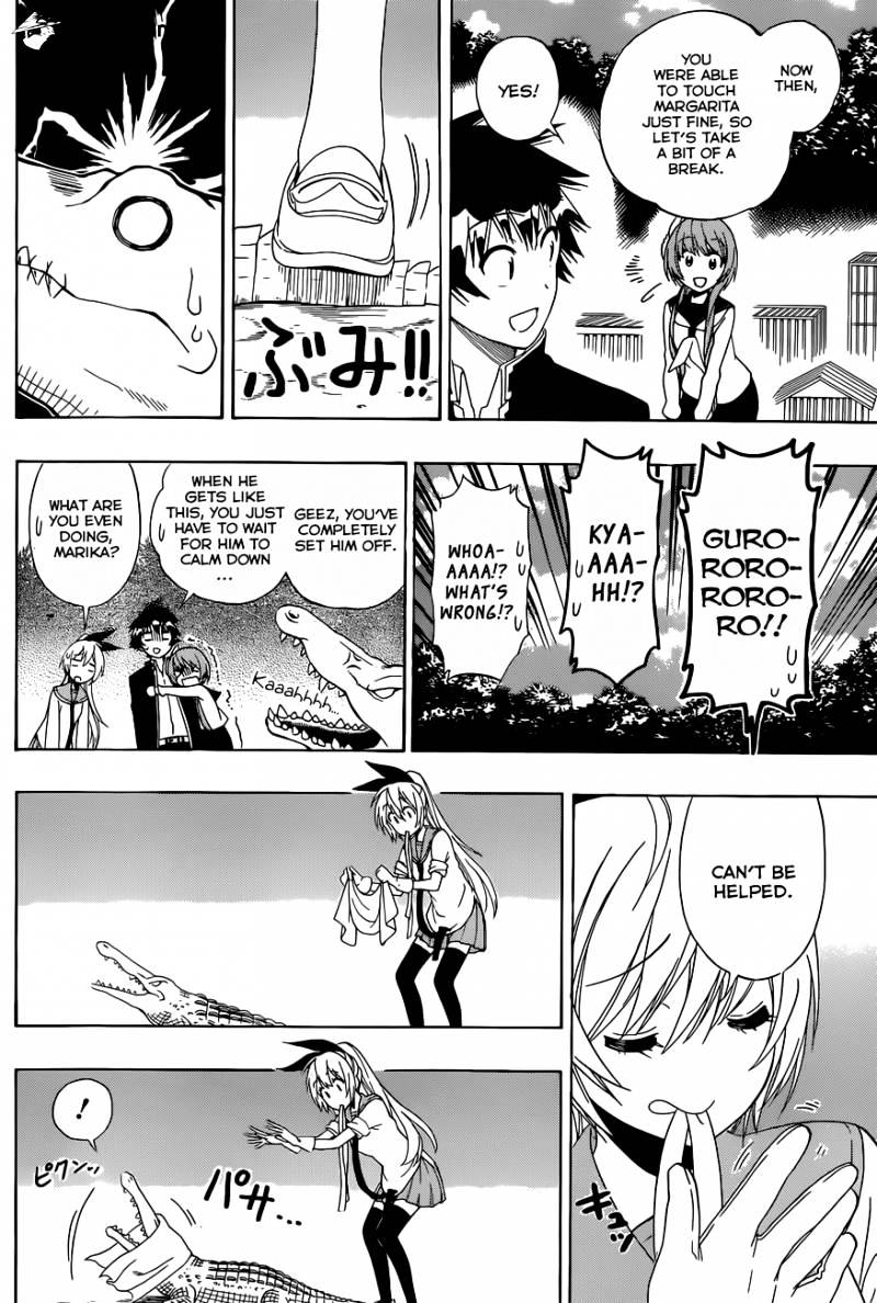Read Nisekoi EN Manga Online