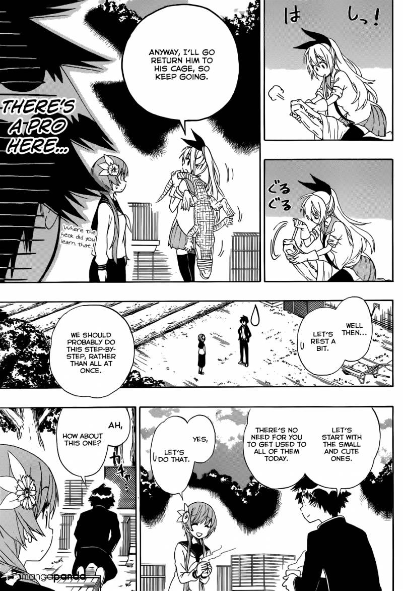 Read Nisekoi EN Manga Online