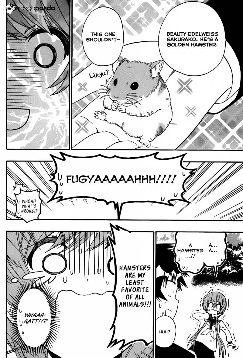 Read Nisekoi EN Manga Online