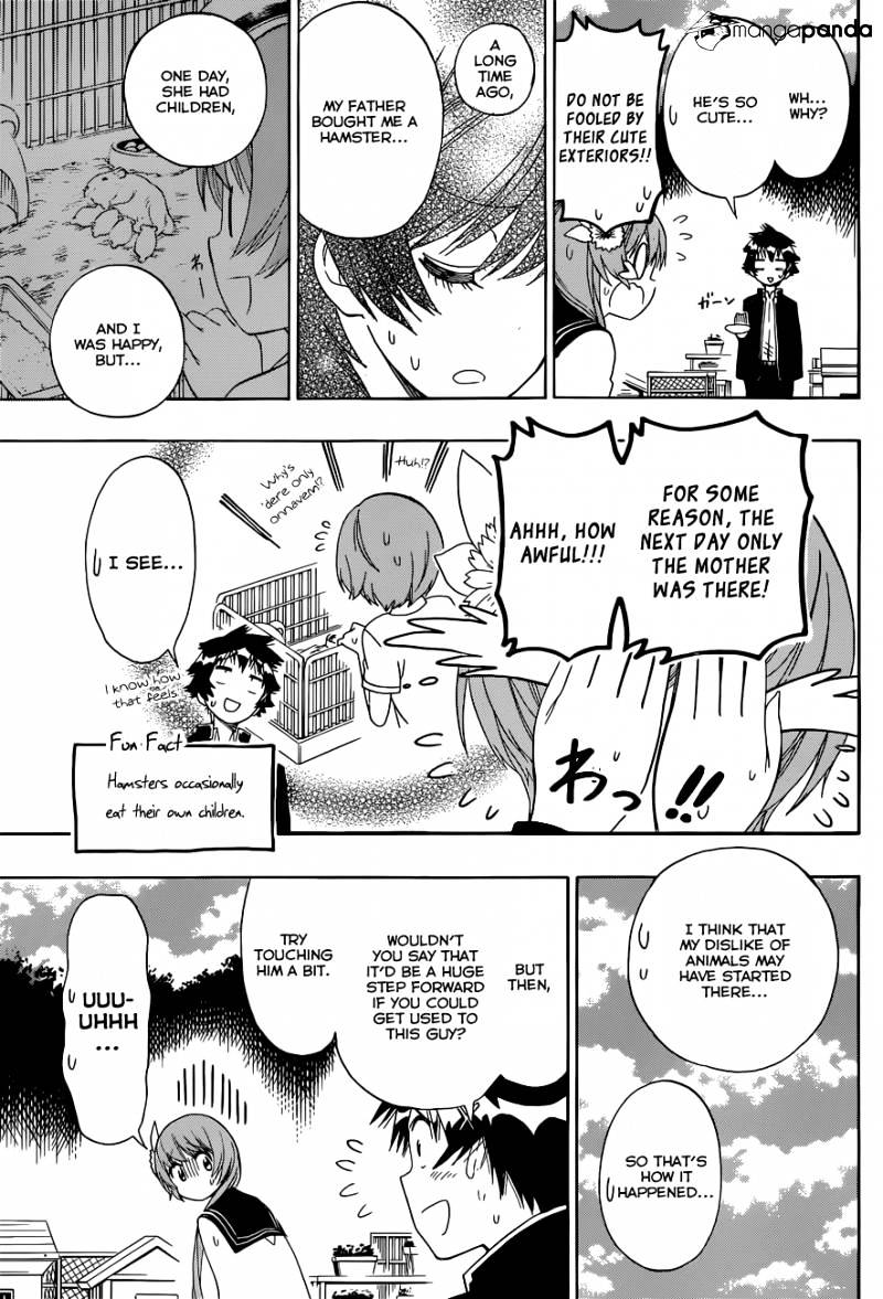 Read Nisekoi EN Manga Online