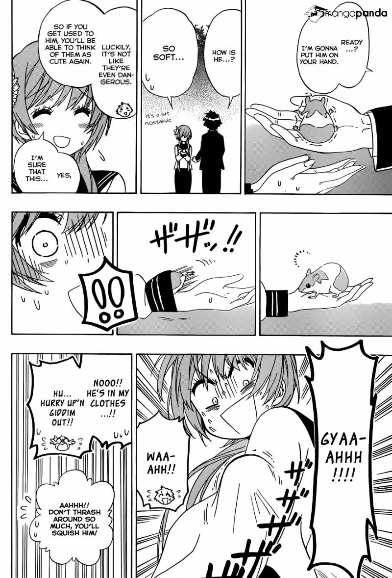 Read Nisekoi EN Manga Online