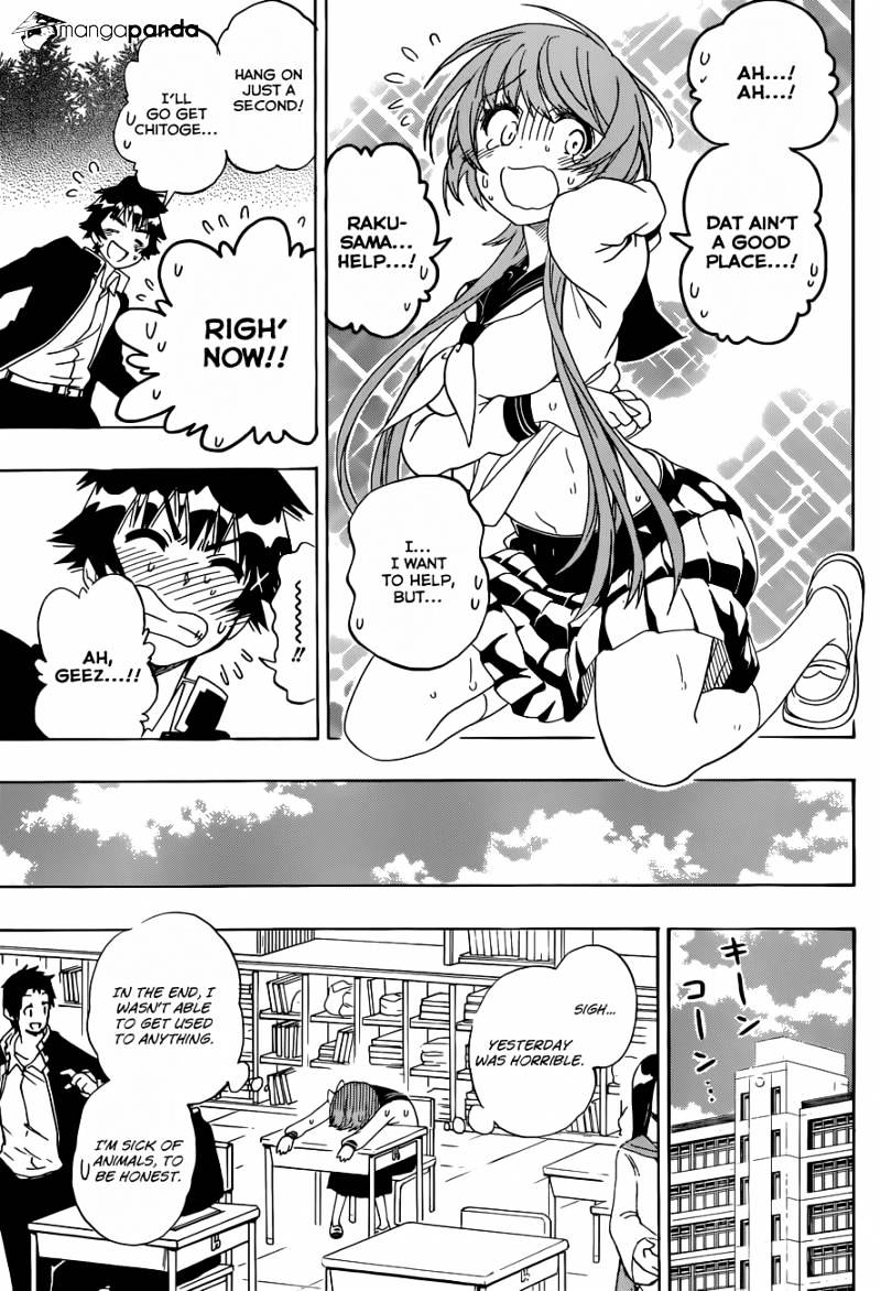 Read Nisekoi EN Manga Online