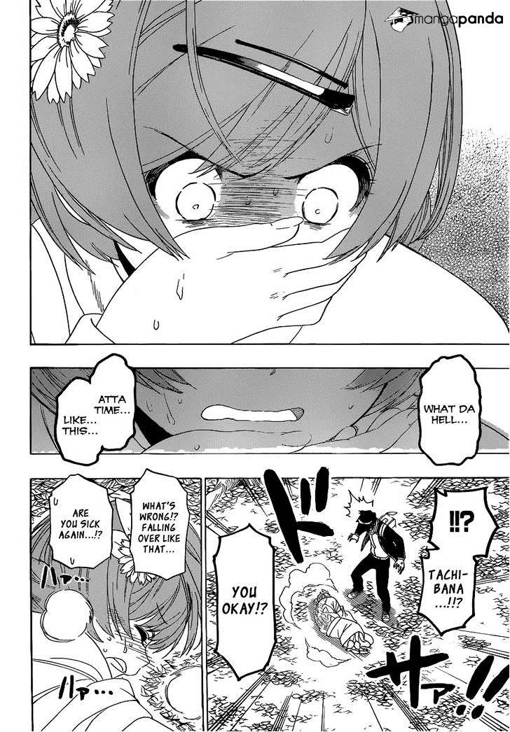 Read Nisekoi EN Manga Online