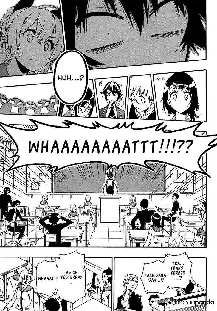 Read Nisekoi EN Manga Online