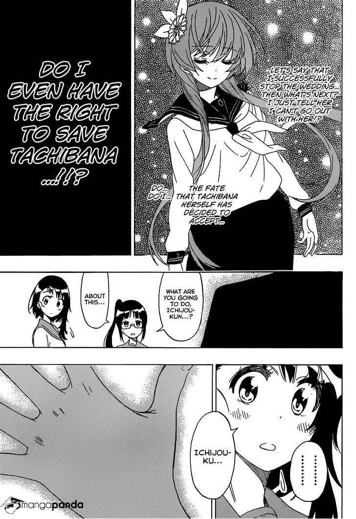 Read Nisekoi EN Manga Online