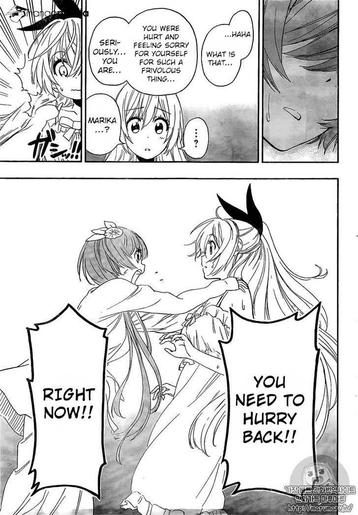 Read Nisekoi EN Manga Online
