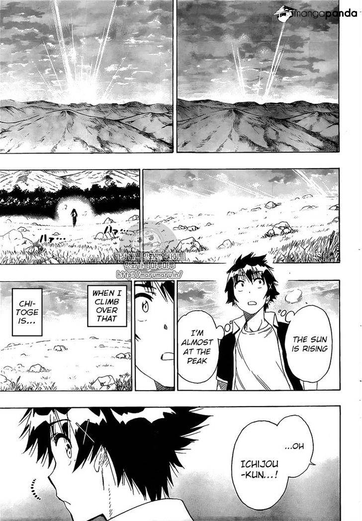 Read Nisekoi EN Manga Online